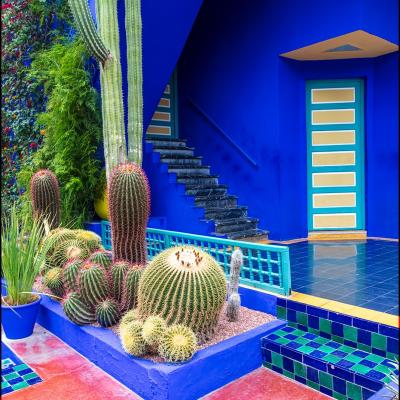 Pat 8846 majorelle w