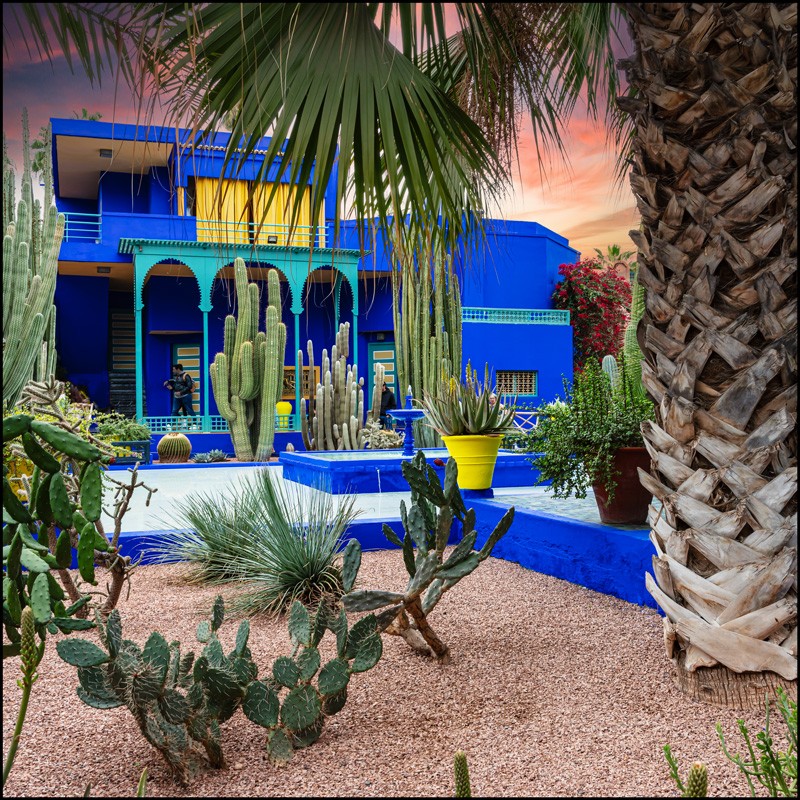 Pat 8856 majorelle w