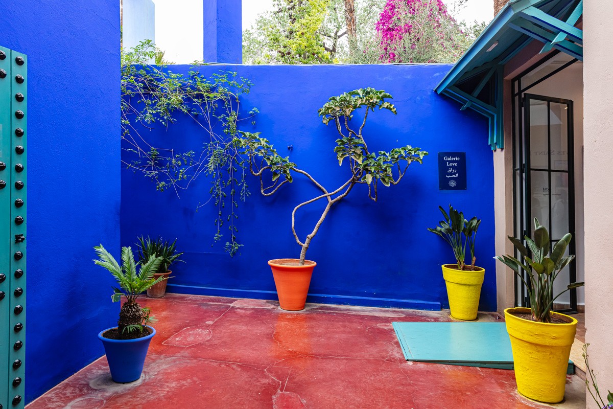 Pat 8868 majorelle w