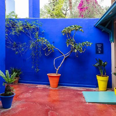 Pat 8868 majorelle w